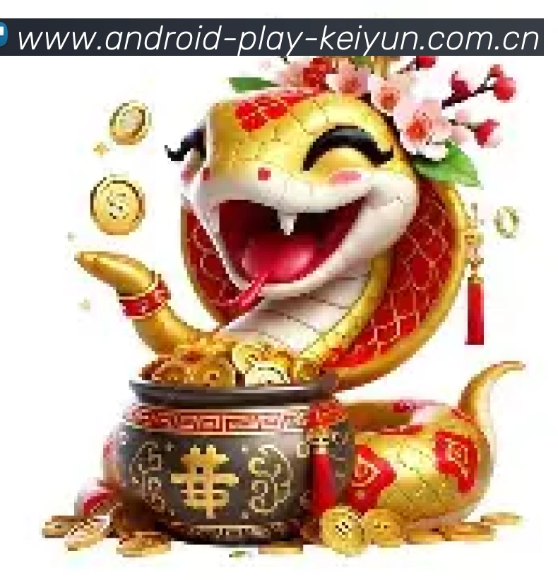 未来规划